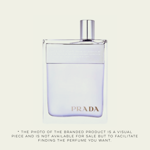 M23 - Inspired by Pr*da (man) Amber