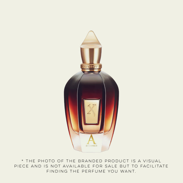 U256 - inspired by Alexandria II Xerj*ff (unisex)